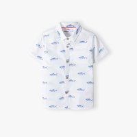 Shirts (13)
